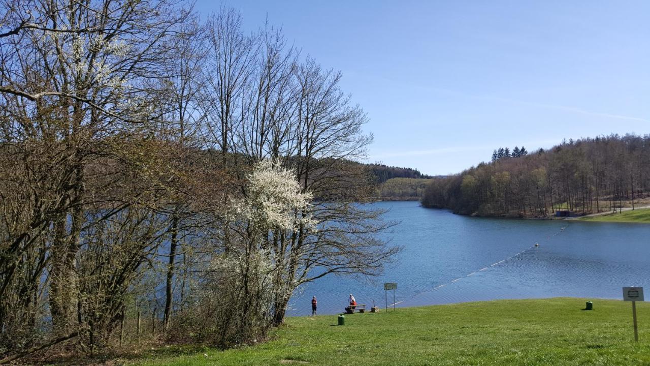 Apartamento Panoramahaus Sauerland Arnsberg Exterior foto