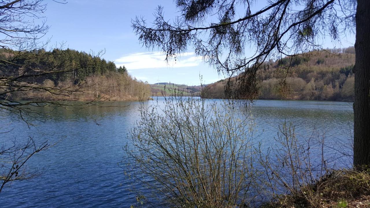 Apartamento Panoramahaus Sauerland Arnsberg Exterior foto